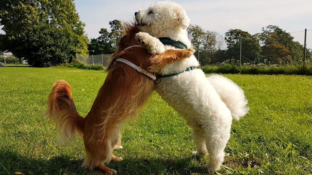 20170815_103301_edited