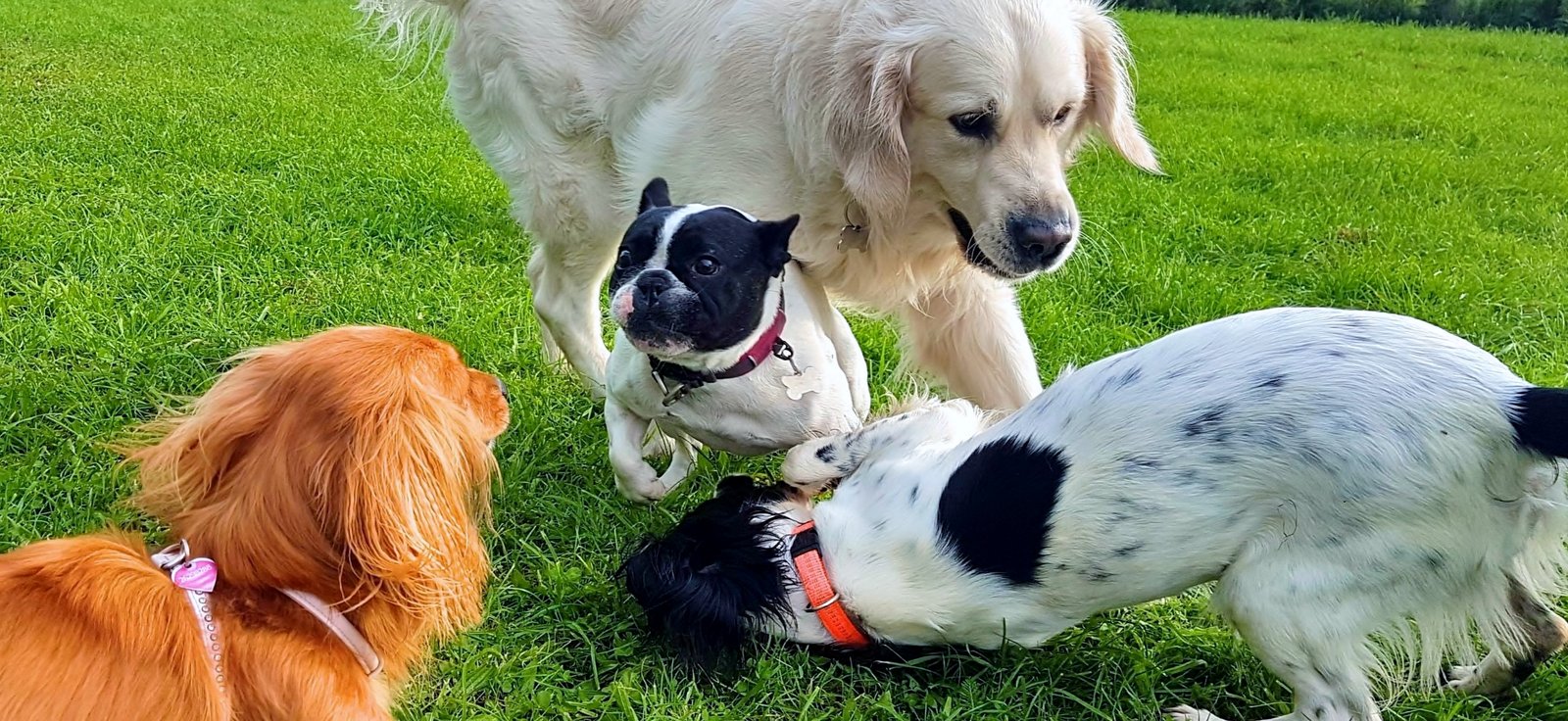 20170928_100556 (1) - Kopi