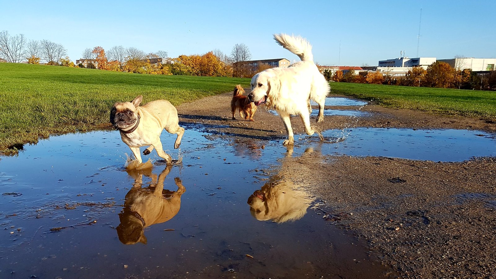 processed by AtomJPEG  1.5.0n