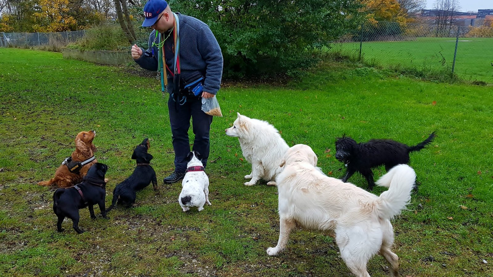 processed by AtomJPEG  1.5.0n