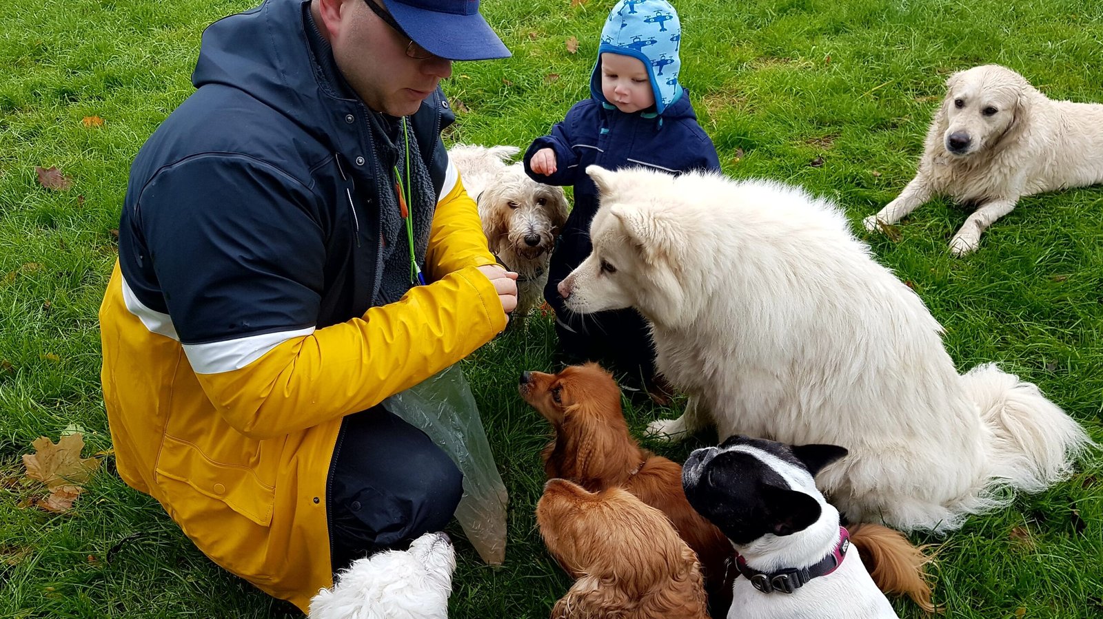 processed by AtomJPEG  1.5.0n