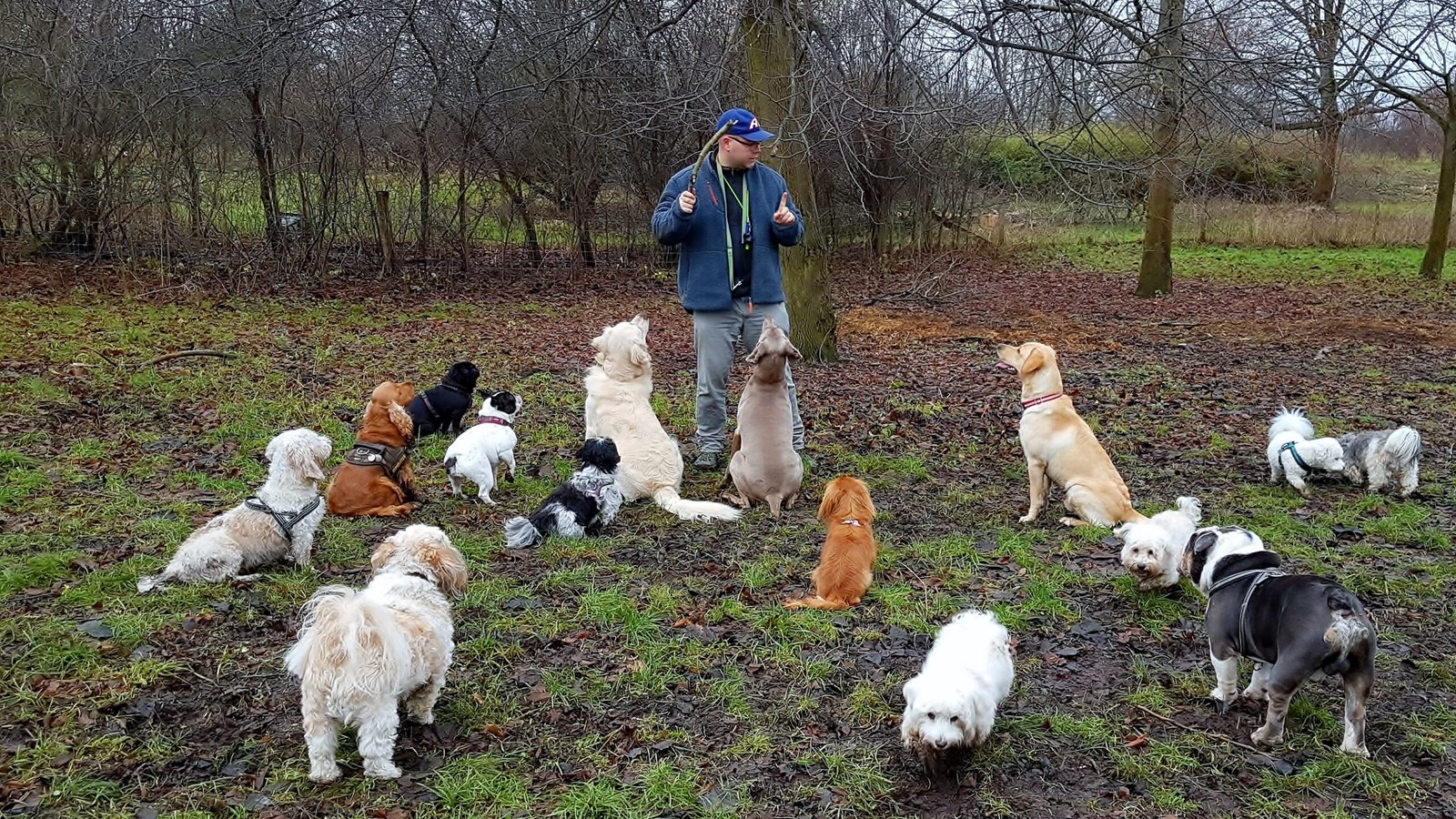 processed by AtomJPEG  1.5.0n