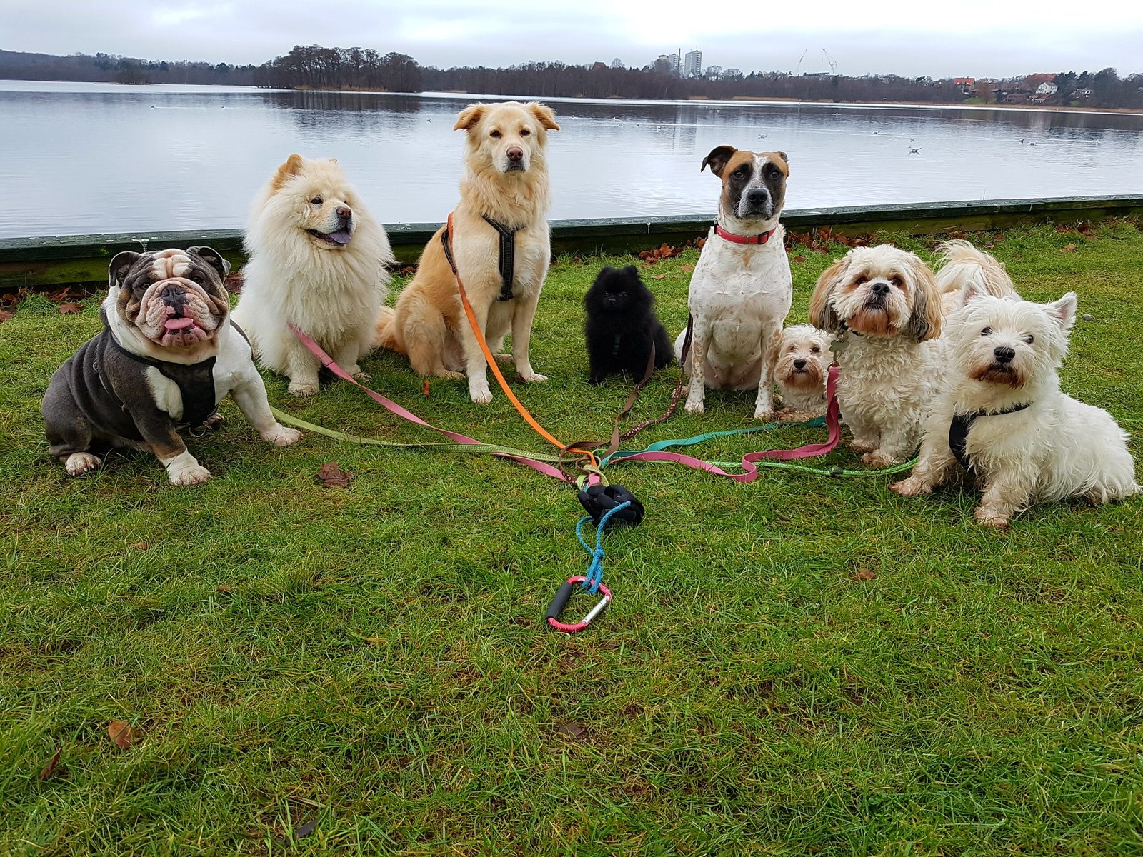 processed by AtomJPEG  1.5.0n