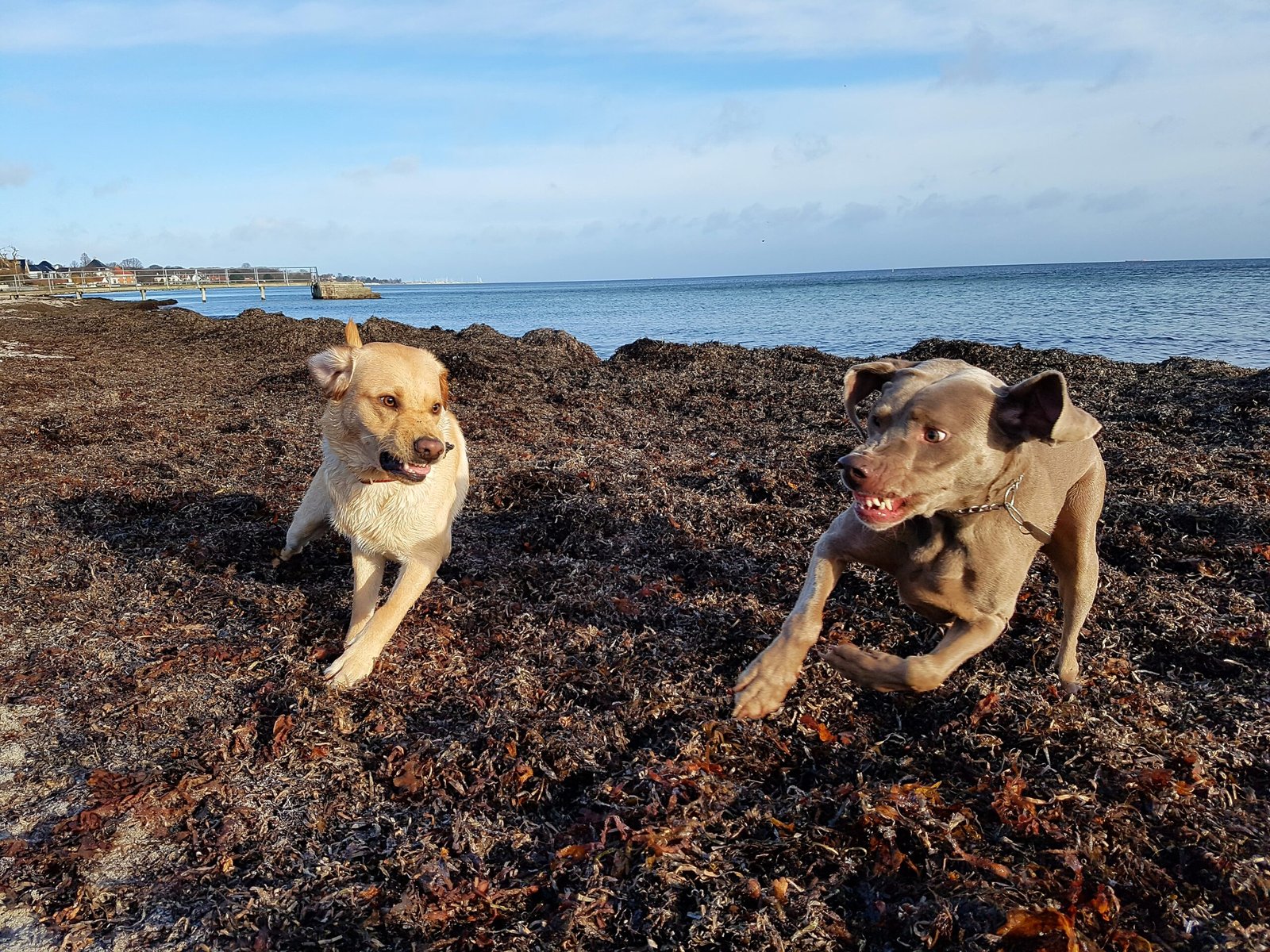 processed by AtomJPEG  1.5.0n