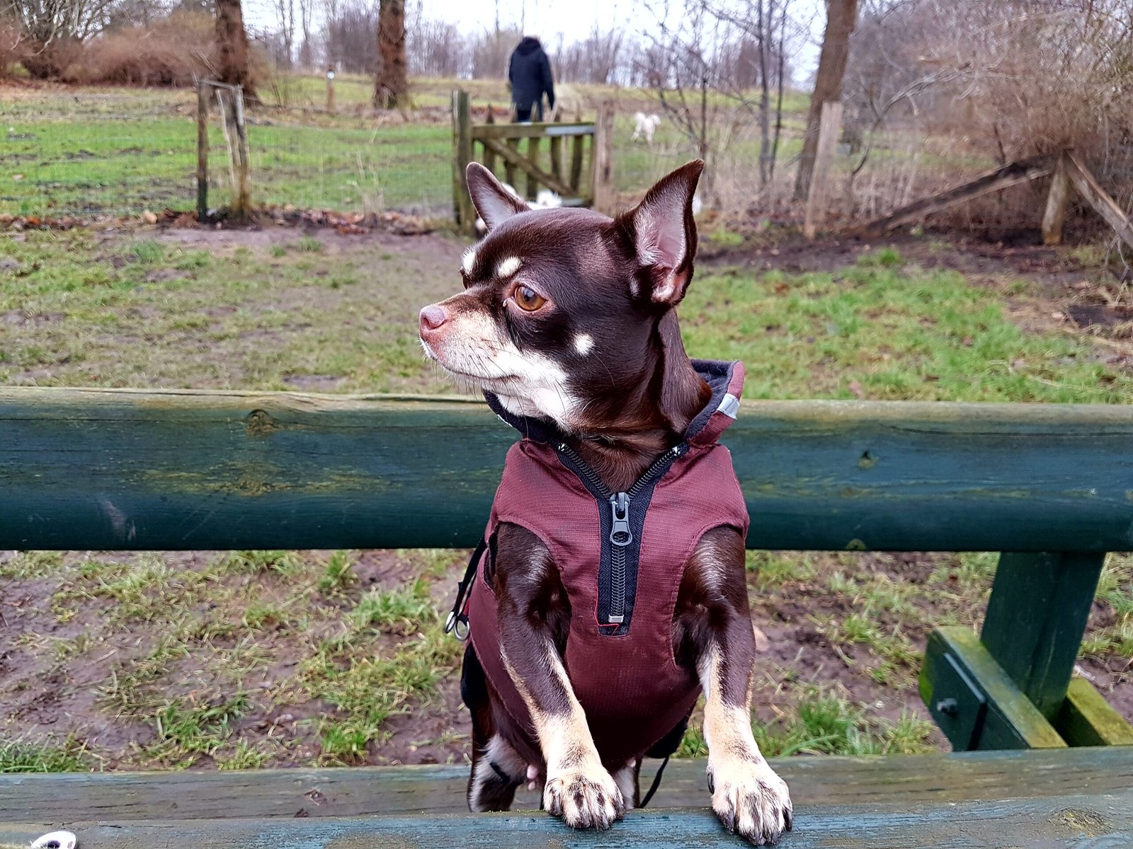 processed by AtomJPEG  1.5.0n