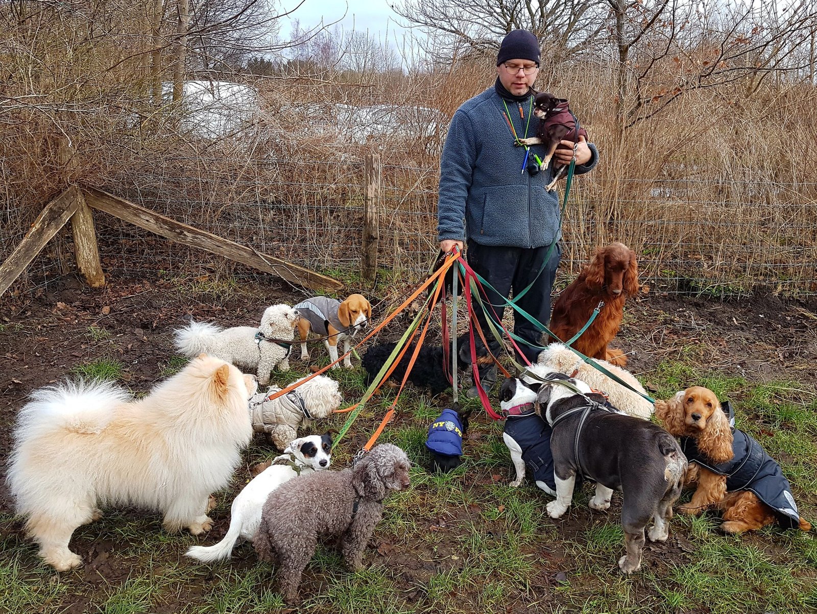 processed by AtomJPEG  1.5.0n