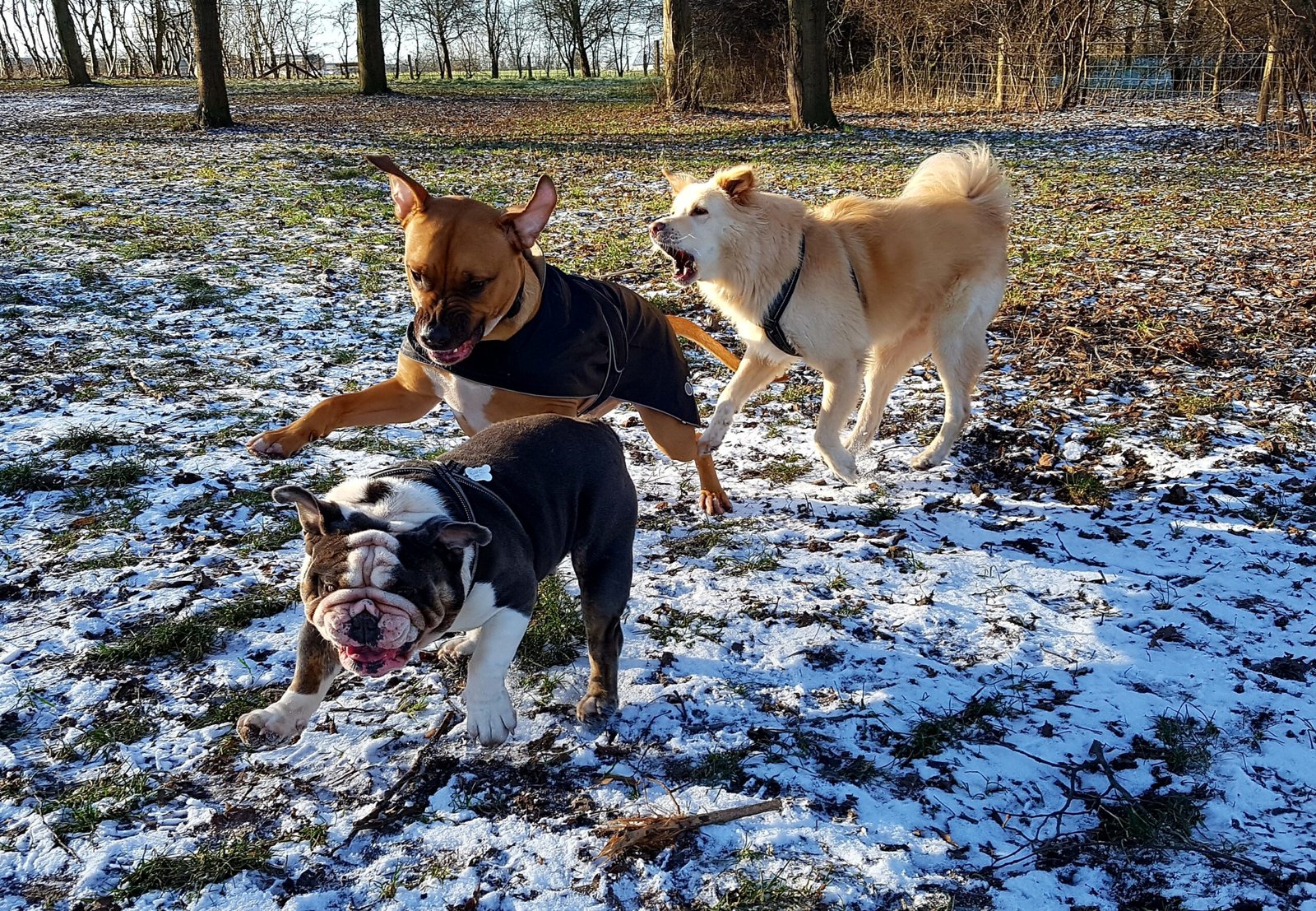 processed by AtomJPEG  1.5.0n