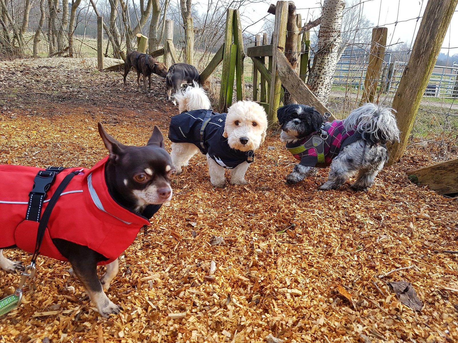 processed by AtomJPEG  1.5.0n