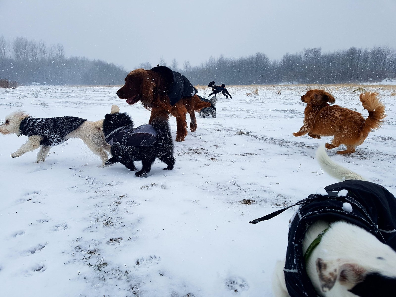 processed by AtomJPEG  1.5.0n