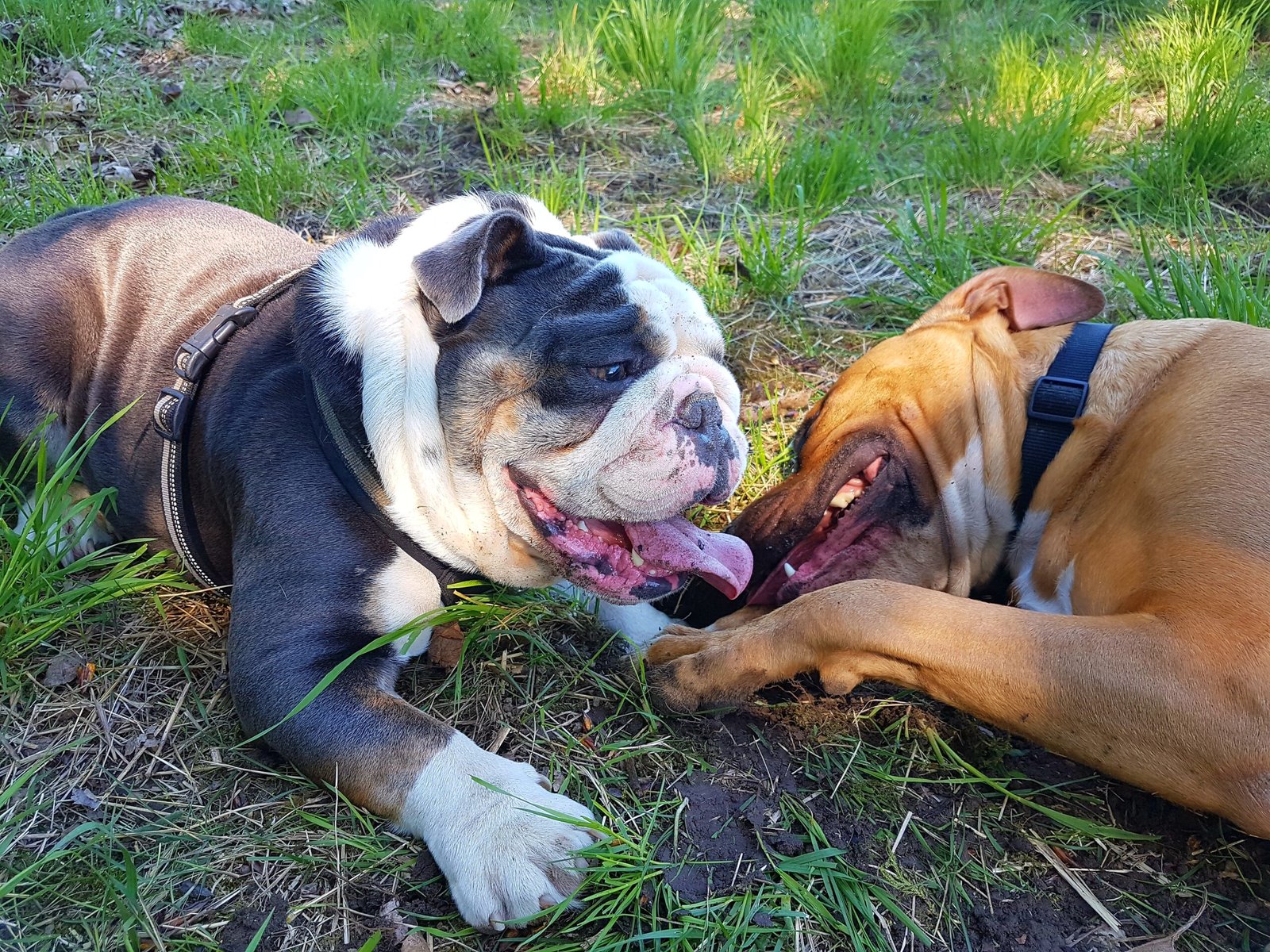 processed by AtomJPEG  1.5.0n