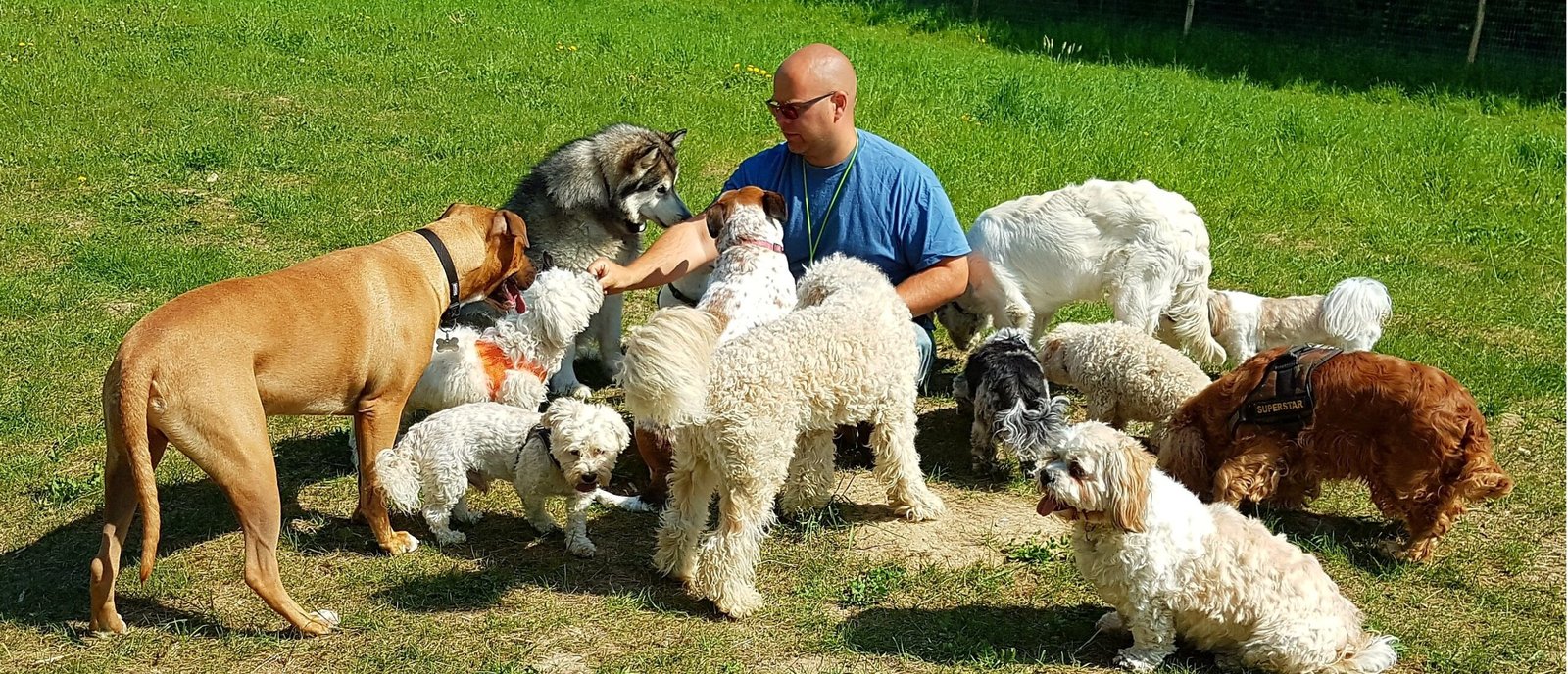 processed by AtomJPEG  1.5.0n