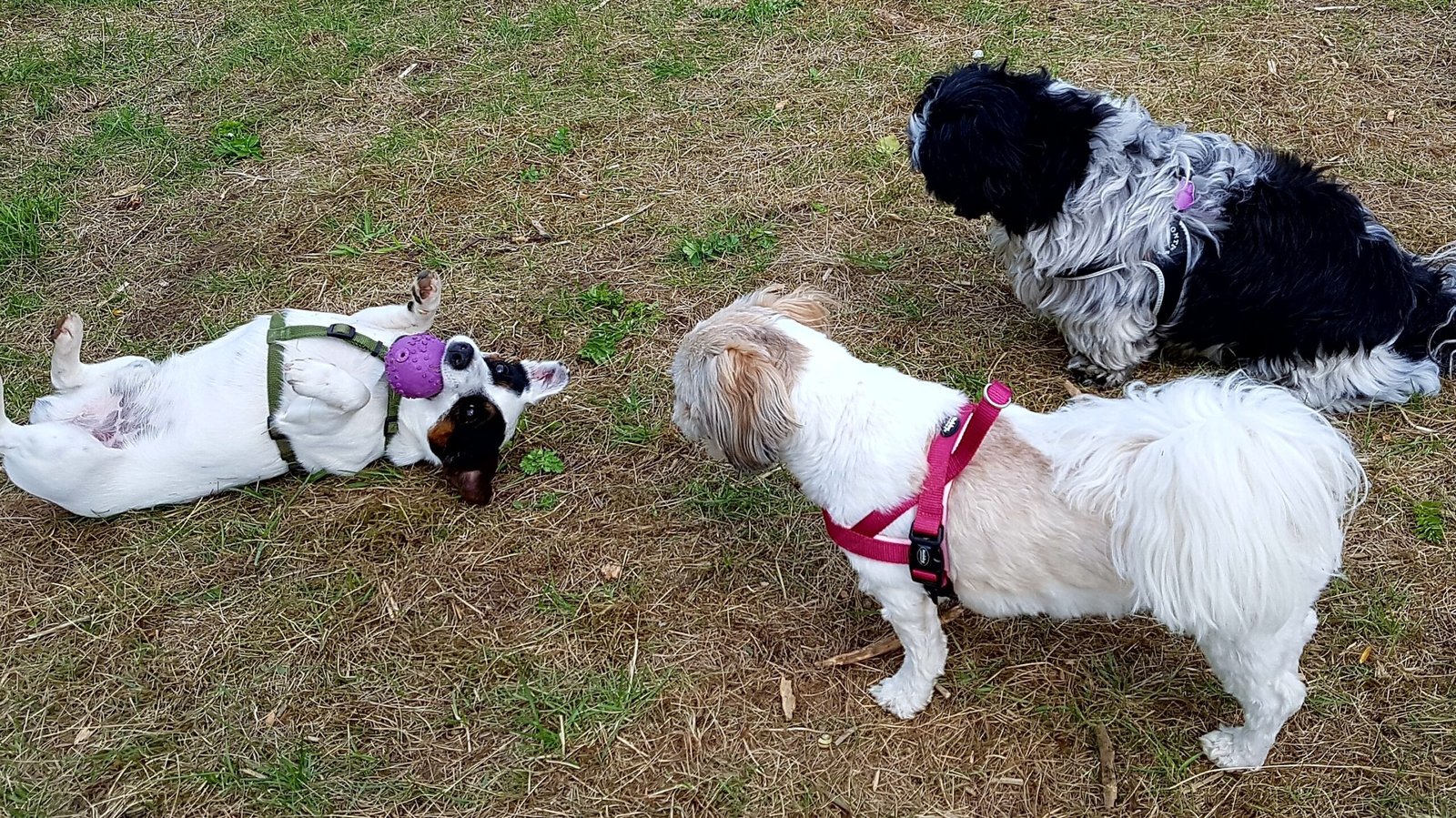 processed by AtomJPEG  1.5.0n