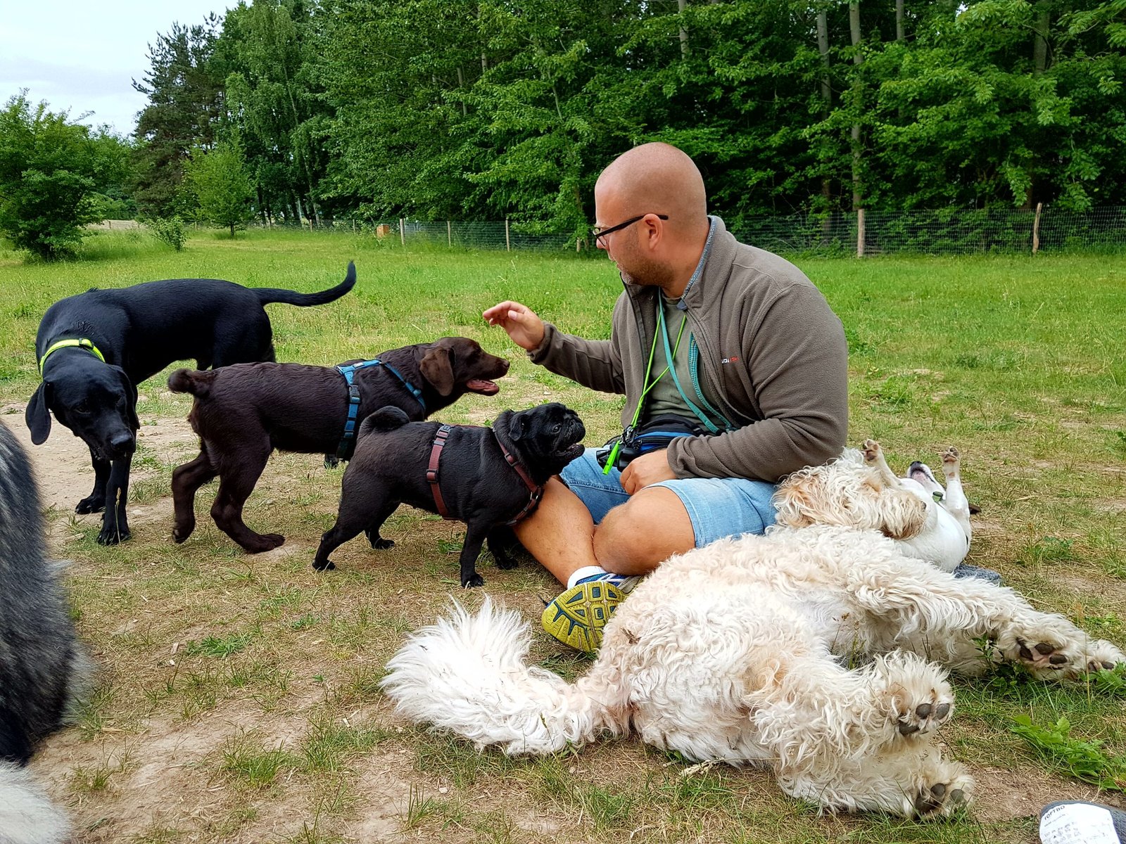 processed by AtomJPEG  1.5.0n